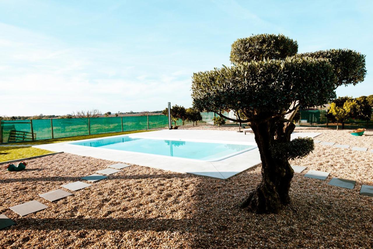 Delmira Vineyard House Villa Aguas de Moura ภายนอก รูปภาพ